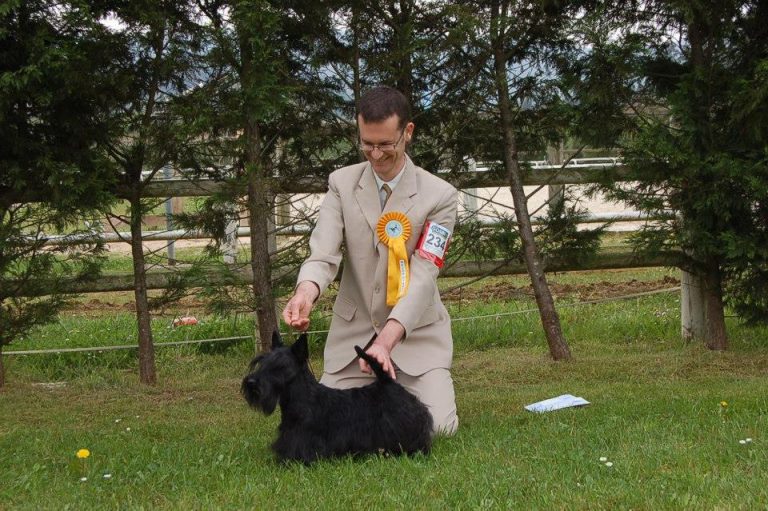 internacional asturias