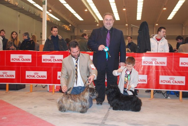internacional-zaragoza-scottish-terrier